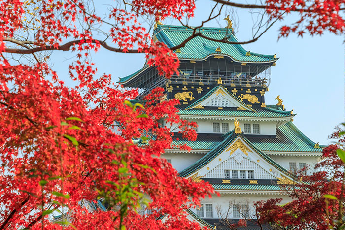 大阪城公園の紅葉イメージ